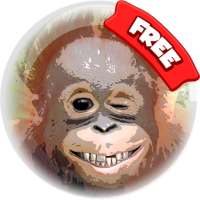 Bubble Face Shooter free