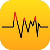 Vibration Meter Pro 2020: Vibration Analysis App on 9Apps