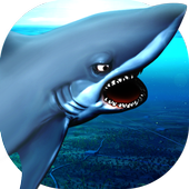 Angry Shark icon
