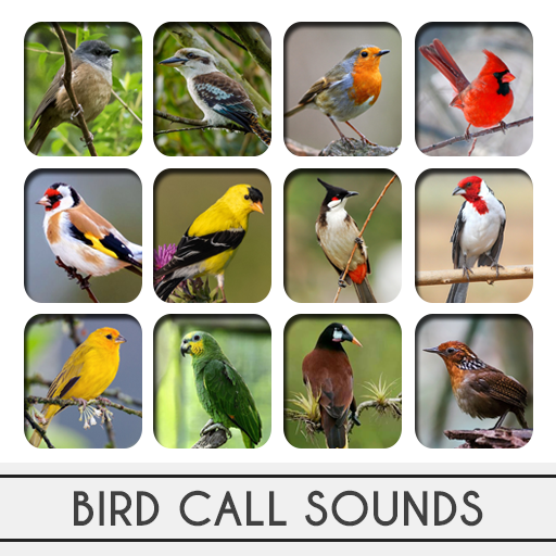 Bird Calls Sounds icon