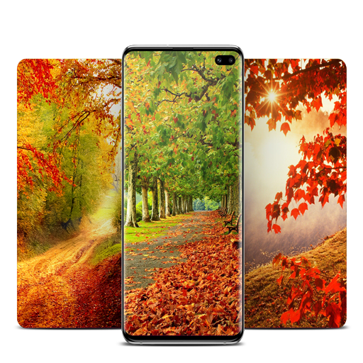 осенние обои иконка