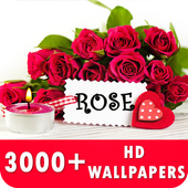 Rose Live Wallpapers HD icon