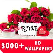 Rose Live Wallpapers HD on 9Apps