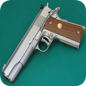 Gun Colt M1911 icon