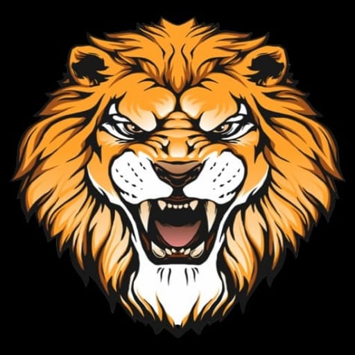 Lion Coin Network Game icon