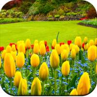 Garden wallpaper on 9Apps