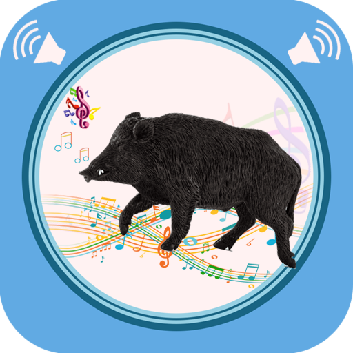 Wild Boar Sounds icon