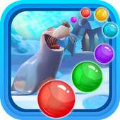 Seals Bubble shooter