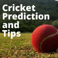 Dream Team 11 Cricket