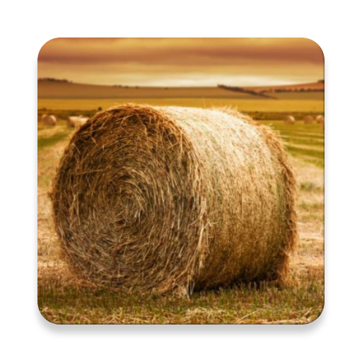 ikon Agriculture Engineering