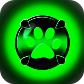 Miraculous Fidget Spinner Cat noir icon