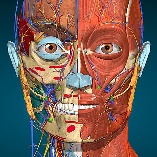 Anatomy Learning - 3D Atlas icon