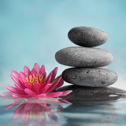 Ambience - Odgłosy natury do spania lub medytacji icon