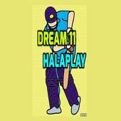 Create Daily Fantasy Cricket Teams