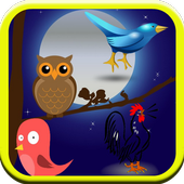 Birds Sounds Original For Kids icon