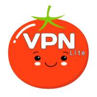 Tomato VPN Lite - Bypass Network Restricted Site