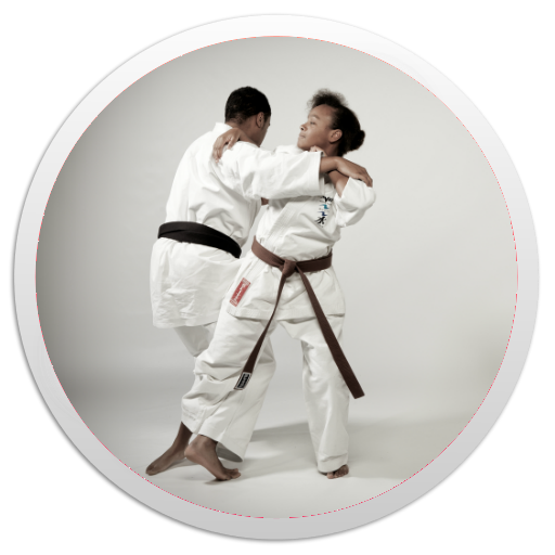 Karate Basics أيقونة