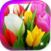 Amazing Tulips live wallpaper