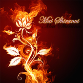 Dancing fire rose icon