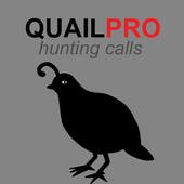Quail Hunting Calls icon