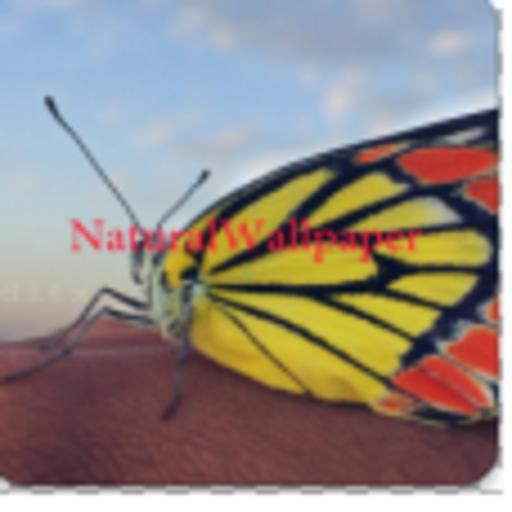 Natural Wallpaper icon