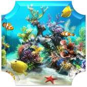 Real Fish Live Video Wallpaper on 9Apps