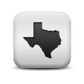 Social Studies 8th STAAR Prep