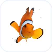 Fish Live Wallpaper Theme HD