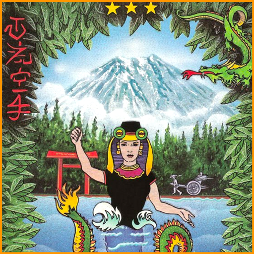 Isshinryu Karate icon