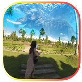 Foto Up And Up Update icon