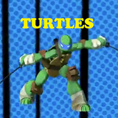 Special Ninja Turtles Displays icon