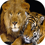 Animal Sound Game For Kids icon