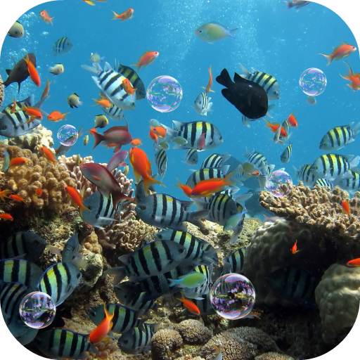 Aquarium Live Wallpaper icon