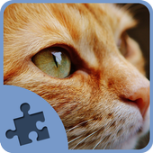 Cat and Kitten Jigsaw Puzzles icon