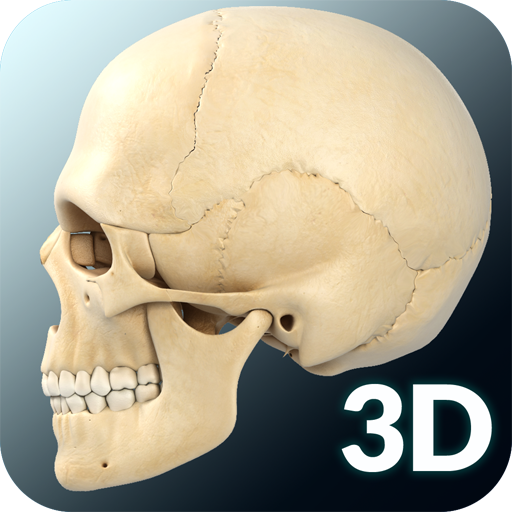 Skull Anatomy Pro. icon