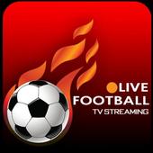 Live Football Tv-Global Cricket Sport 2020 Euro icon
