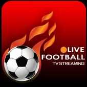 Live Football Tv-Global Cricket Sport 2020 Euro