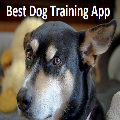 Best Dog Training at Home App for Real Dogs icon