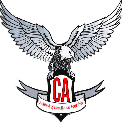 CA Test Series - An Online Test Series icon