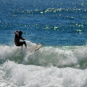 Surfing Wallpapers icon