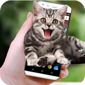 Funny Cat Walks On Screen - Cute Animation &amp; Joke icon
