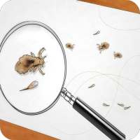 كيفية التخلص من قمل الرأس on 9Apps