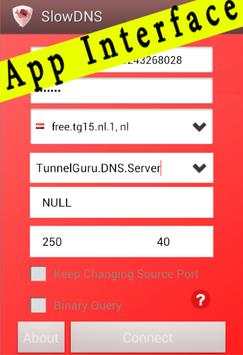 Guide for VPN Over DNS Tunnel : SlowDNS screenshot 1