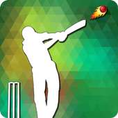 Cricket Net Run Rate Calculate