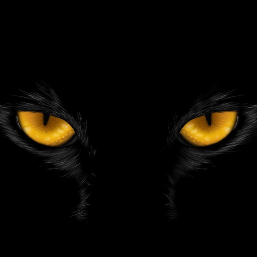 Black Wallpaper Aesthetic HD icon