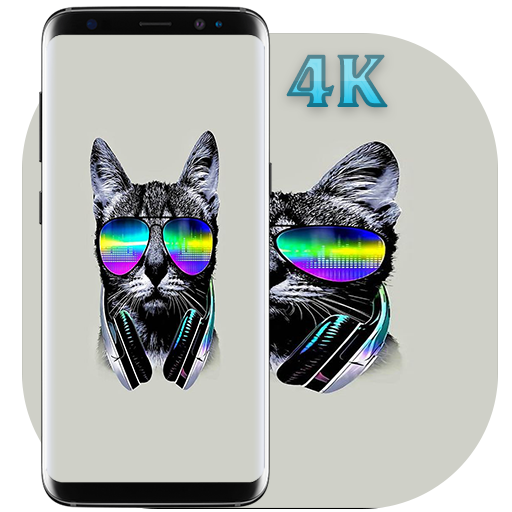 Cute Cat Wallpapers HD icon