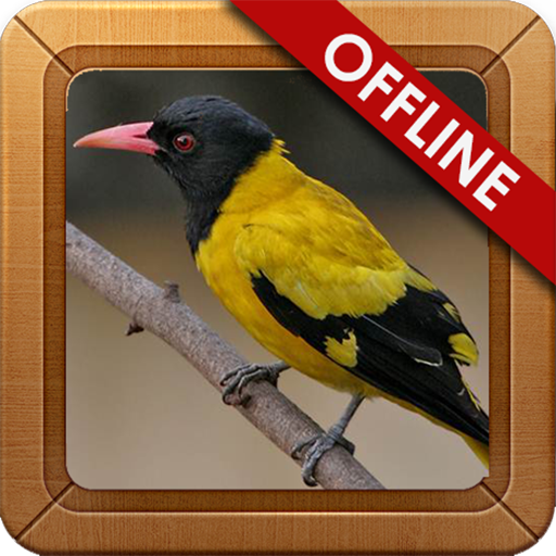 Suara Burung Kepodang Gacor icon
