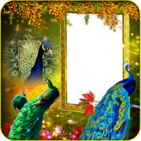 Peacock Insta DP Maker