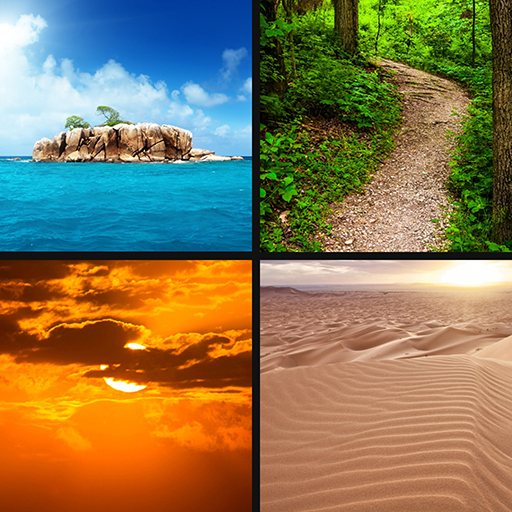 ikon 4 Fotos 1 Solución