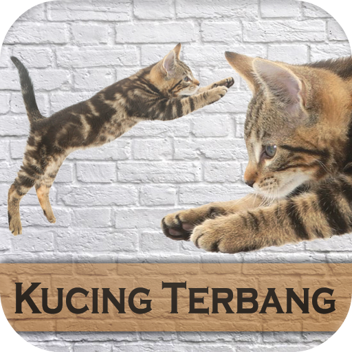 Game Kucing Terbang - Permainan Game Kucing Baru icon